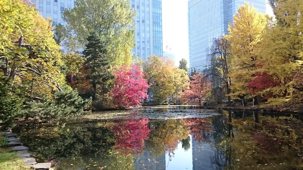 道庁前庭には池にも映る紅葉が楽しめます